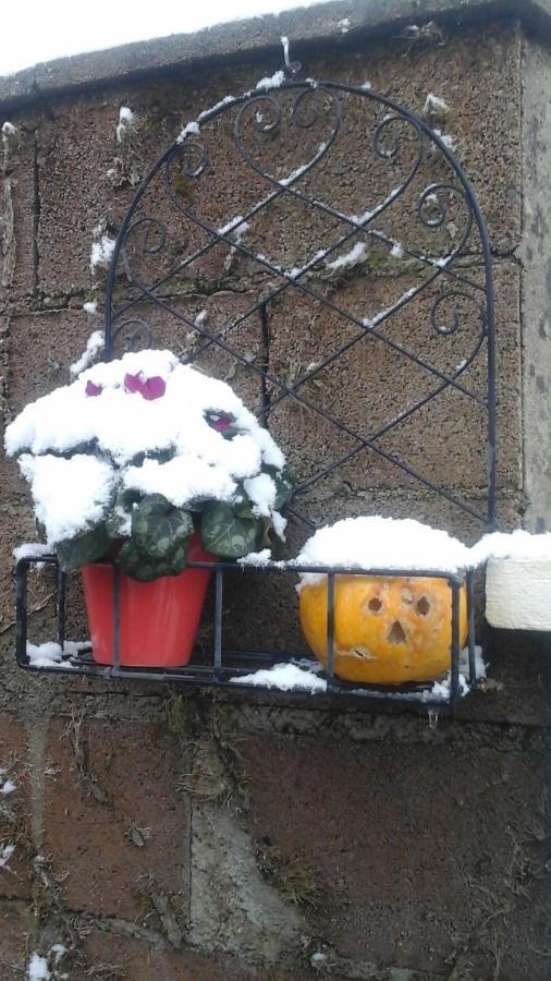 La Maison Des Fleurs Montembœuf エクステリア 写真